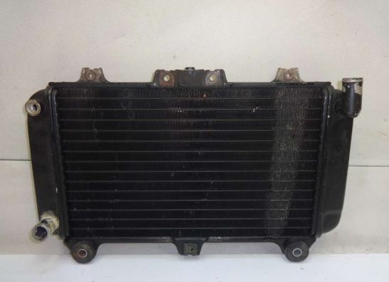 Kuhler Kawasaki GPZ 600