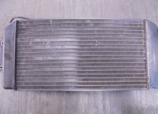 Kuhler Suzuki VL 800