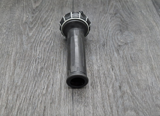 Grip BMW R 1200 GS LC