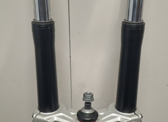 Voorpoten compleet BMW R 1250 GS