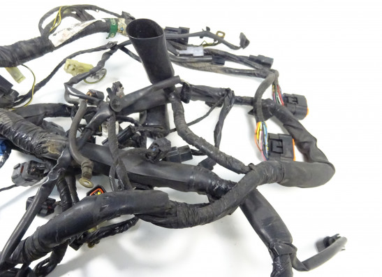 Kabelbaum Kawasaki ER 6