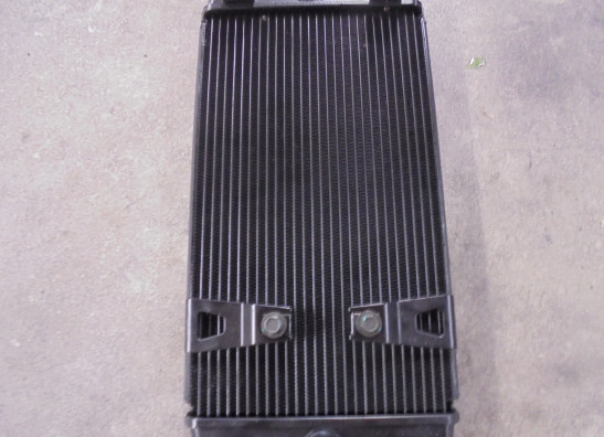 Kuhler Triumph Bonneville T 120