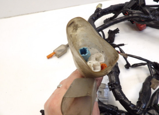 Kabelboom Honda CBR 600 F