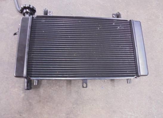 Radiateur Benelli TRK 702