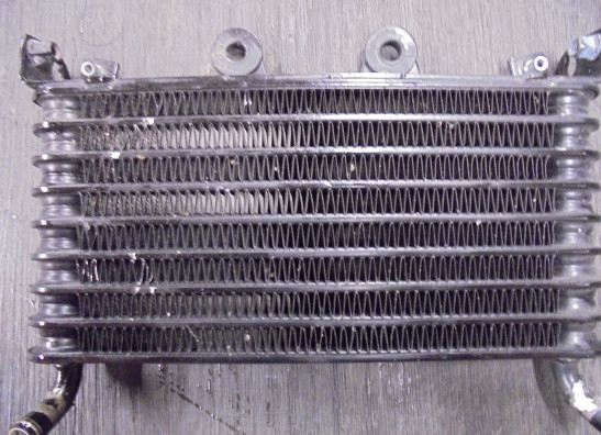 Oliekoeler BMW R Nine T