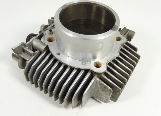 Cilinderblok Ducati monster 600