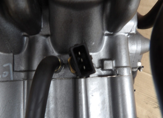 Motorblock Benelli TRK 502 X