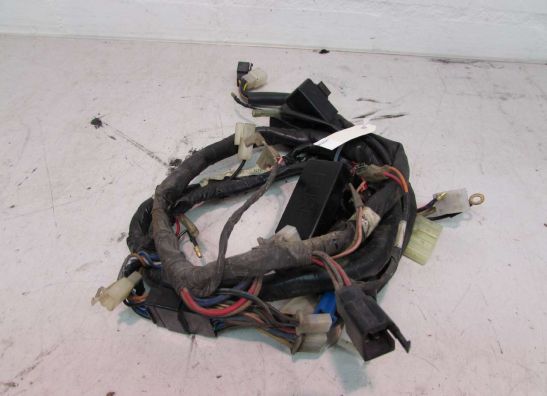 Wire Harness Yamaha XJ 600 Diversion
