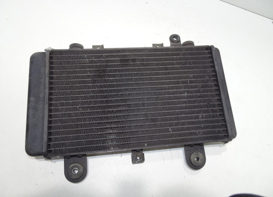 Radiator Triumph Tiger 900
