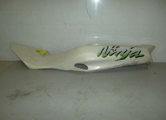 Linker achterkant Kawasaki ZX 6 R