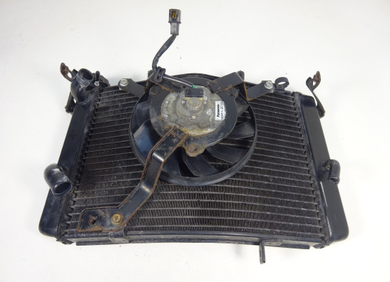 Radiateur Triumph Street Triple 675