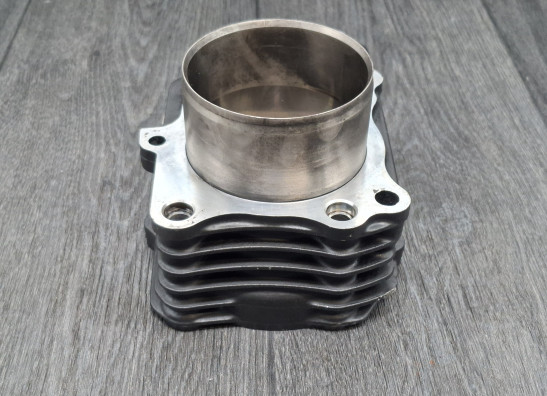 Cilinderblok Kawasaki VN 800