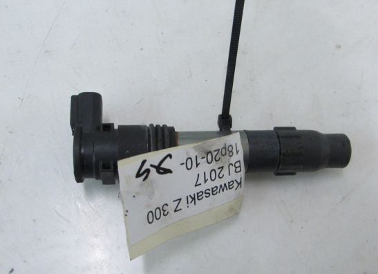 Bobine Kawasaki Z 300