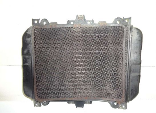 Radiator Kawasaki GPZ 500