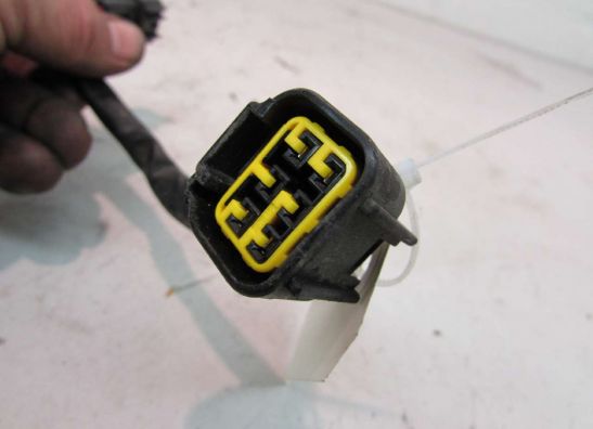 Wire harness front Yamaha YZF 600 Thundercat