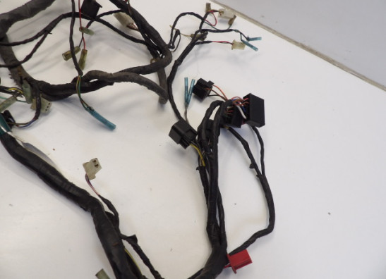 Kabelboom Kawasaki ZX 9 R