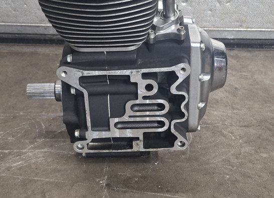 Motorblok Harley Davidson Twincam