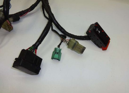 Wire Harness Honda CBF 500