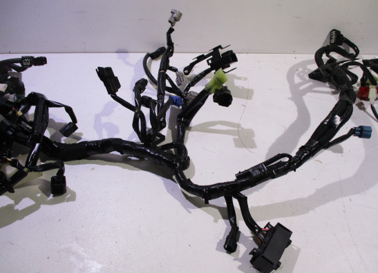 Kabelboom Kawasaki Z 900