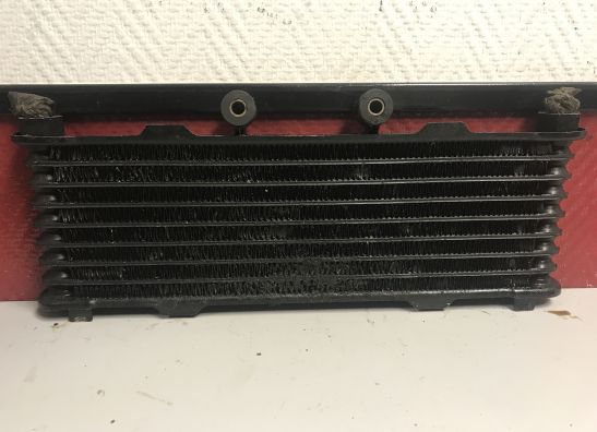 Olkuhler Suzuki GSX F 600