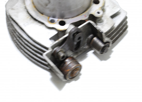 Cilinderblok Ducati monster 600