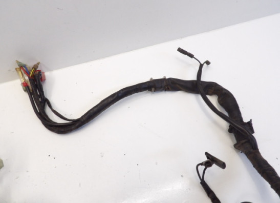 Kabelboom Honda VT 800 C Shadow