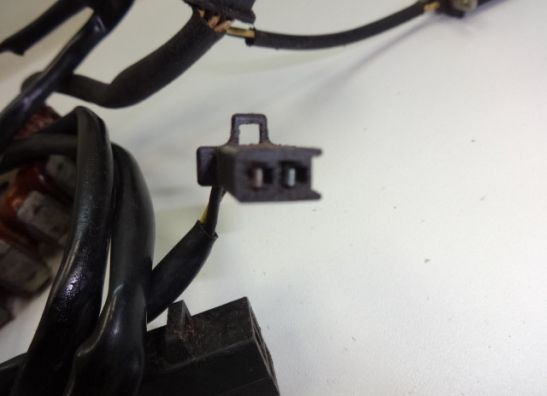 Dynamo Kawasaki ZZR 250