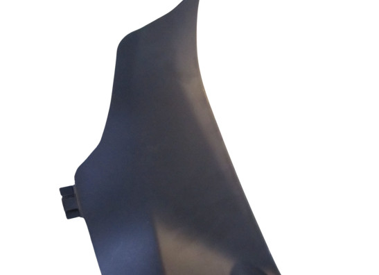 Binnenkuip Ducati Panigale V4 R