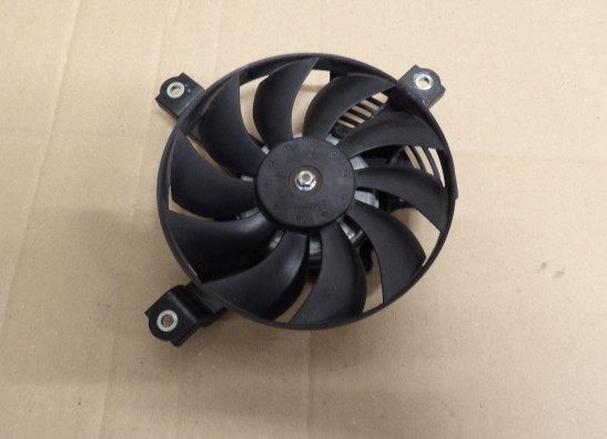 Fan Suzuki DL 1000 V STROM
