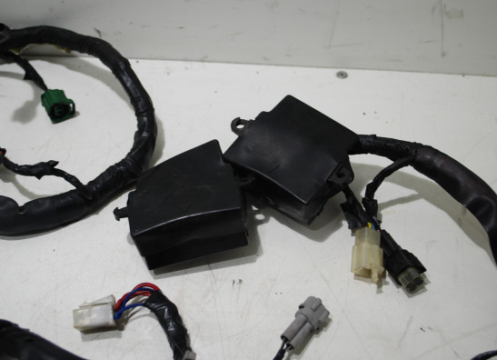 Kabelboom Yamaha GTS 1000