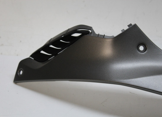 Tankcover BMW S 1000 R