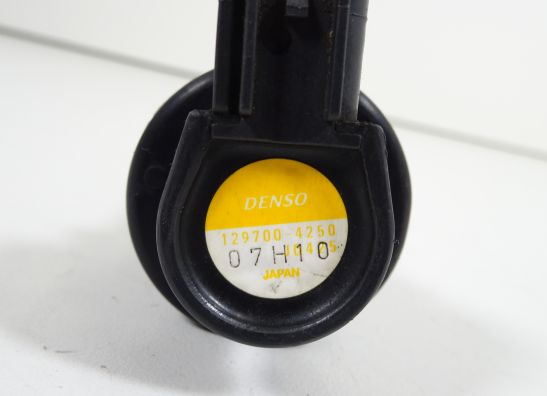 Ignition Coil Triumph Tiger 1050