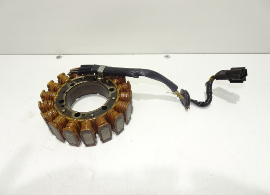 Dynamo BMW F 650 GS
