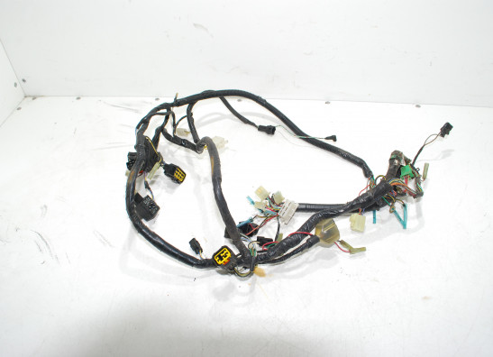 Wire Harness Kawasaki ZR 7