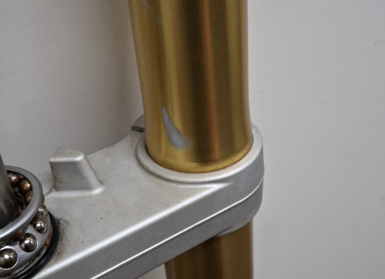 Voorpoten compleet Triumph Tiger 1050