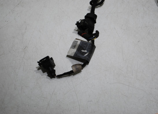 Wire Harness BMW F 800 S - ST