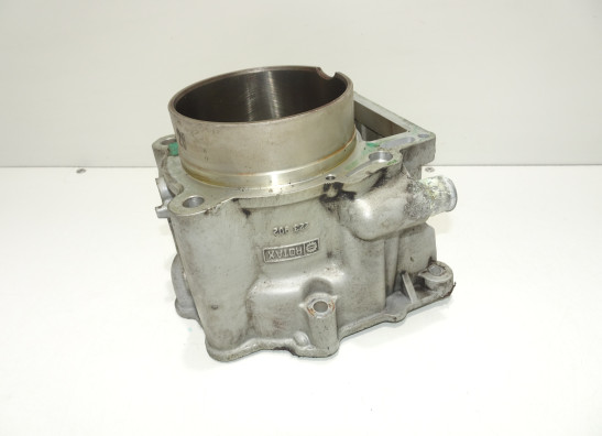 Cilinderblok BMW F 650 GS