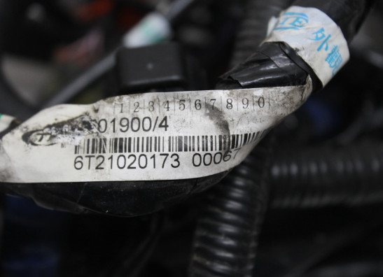 Kabelboom Triumph Sprint GT 1050