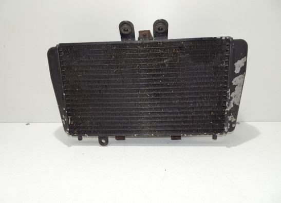 Radiateur Triumph T509 Speed Triple 1997-1999