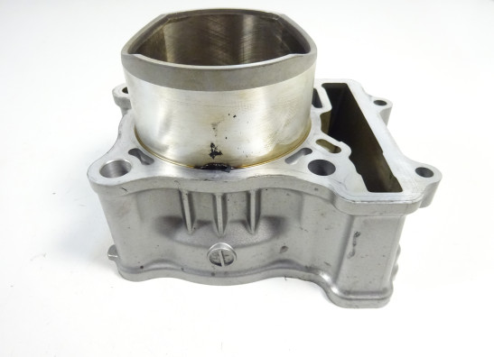 Cylinders Suzuki SFV 650 Gladius