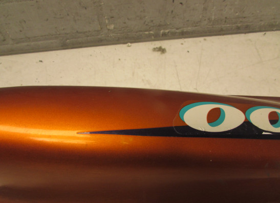 Heck links Kawasaki ZZR 1100