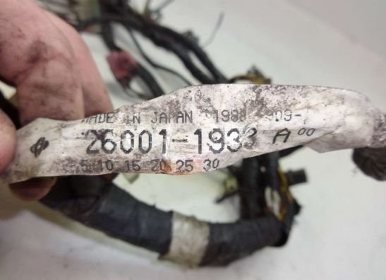 Wire Harness Kawasaki EL 250