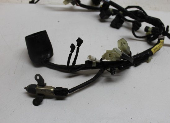 Wire harness front Yamaha FJR 1300