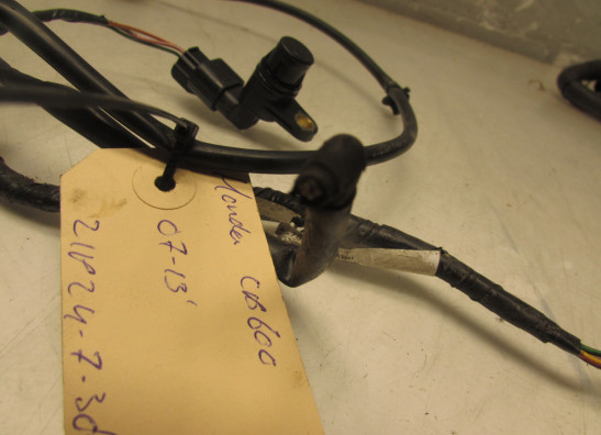 Kabelbaum vorne Honda CB 600 F