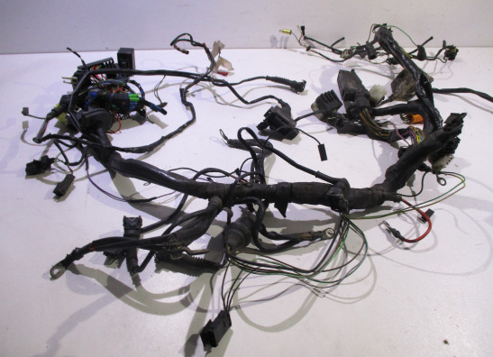 Kabelboom BMW R 850 R