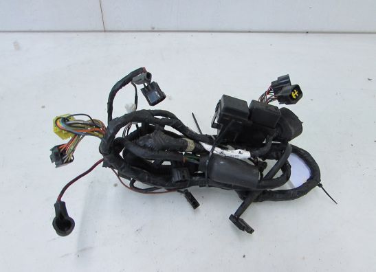 Wire Harness Suzuki GSX F 750