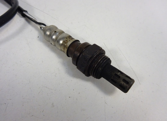 Lambdasonde Triumph Sprint ST 1050