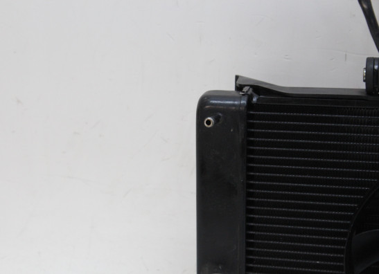Radiateur Yamaha XJ 6 N