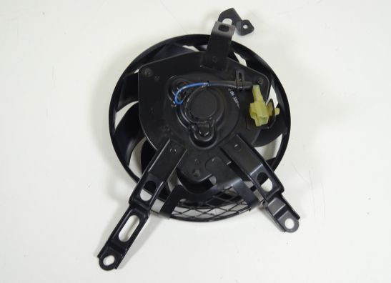 Fan Suzuki GSX R 1000