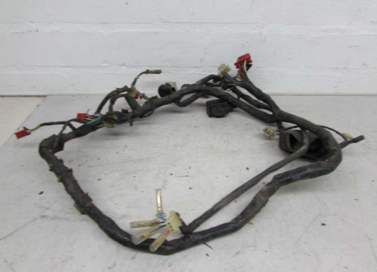 Wire Harness Honda CBR 600 F